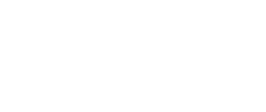 RACE AUTO